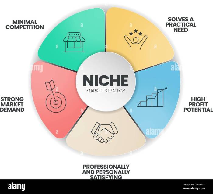 Niche Market Strategy infographic presentation template with icons such ...